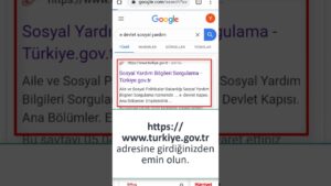 E-Devlet Sosyal Yardım Bilgileri Sorgulama Ekranı