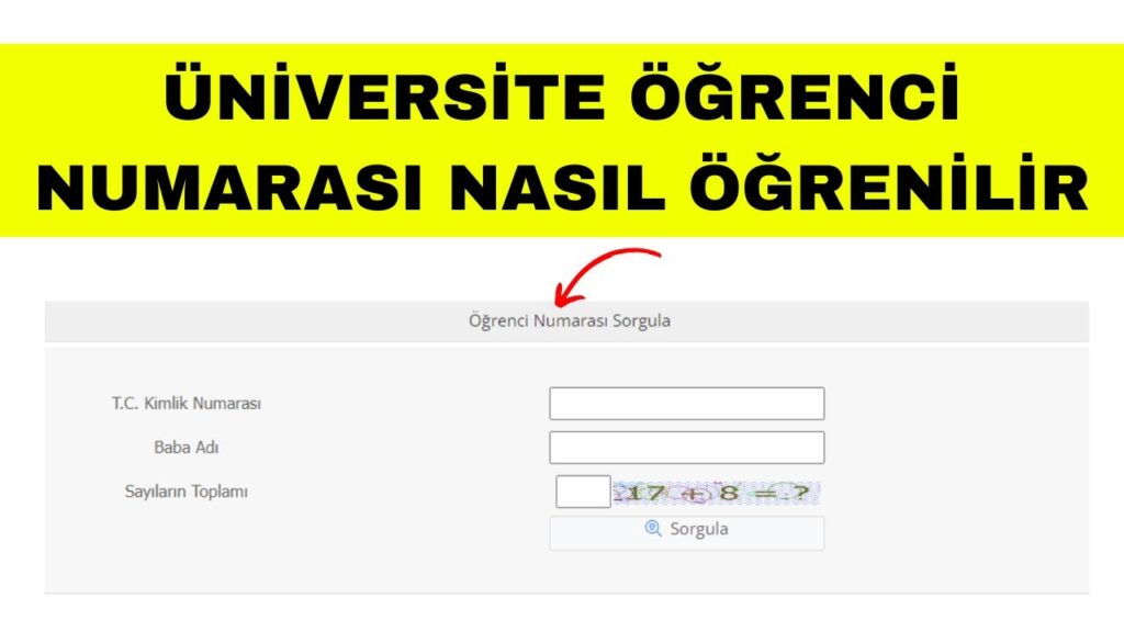 Öğrenci Okul Numarası Öğrenme (E-Devlet, MEB, E-Okul, EBA)