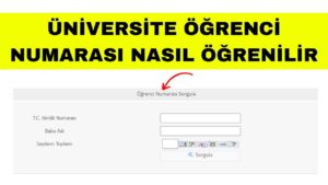 Öğrenci Okul Numarası Öğrenme (E-Devlet, MEB, E-Okul, EBA)