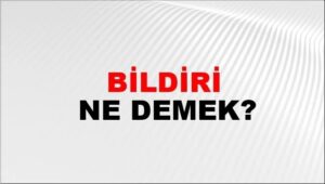 Bildiri Nedir? Nasıl Yazılır? Bildiri Örnekleri