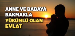 Bakmakla Yükümlü Olunan Kişiler Kimlerdir? Öğrenme ve Sorgulama