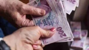 Geliri Olmayana Devlet Yardımı Başvurusu – E-Devlet Başvuru Formu