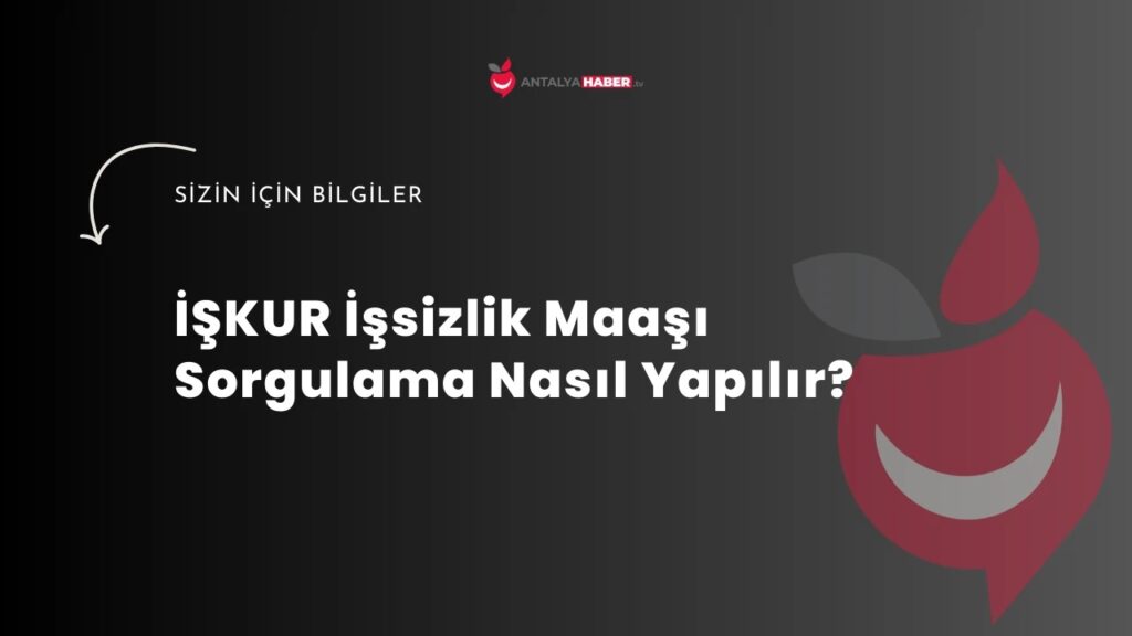 İŞKUR İşsizlik Maaşı Sorgulama (PTT ve E-Devlet Sorgulama Ekranı)