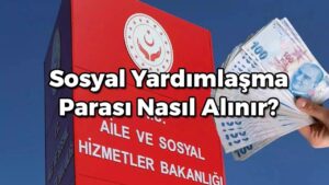 Para Yardımı Nasıl Alınır? E-Devlet Başvurusu Formu