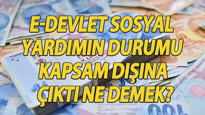 Sosyal Yardım Başvurusu Kapsam Dışına Çıktı Ne Demek?