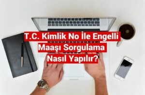 T.C. No ile Engelli Maaşı Sorgulama E-Devlet Sorgulama Ekranı