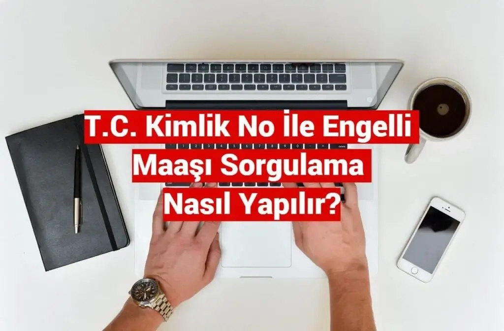 T.C. No ile Engelli Maaşı Sorgulama E-Devlet Sorgulama Ekranı