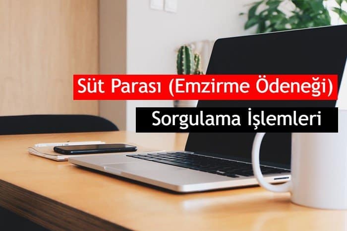 SGK ve E-Devlet Süt Parası Başvurusu ve Başvuru Sorgulama