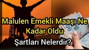 Malulen Emekli Maaşı Ne Kadar? Hesaplama Formülü