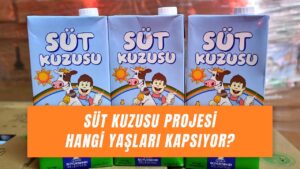 Süt Kuzusu Başvurusu Nasıl Yapılır? Başvuru Formu ve Şartları