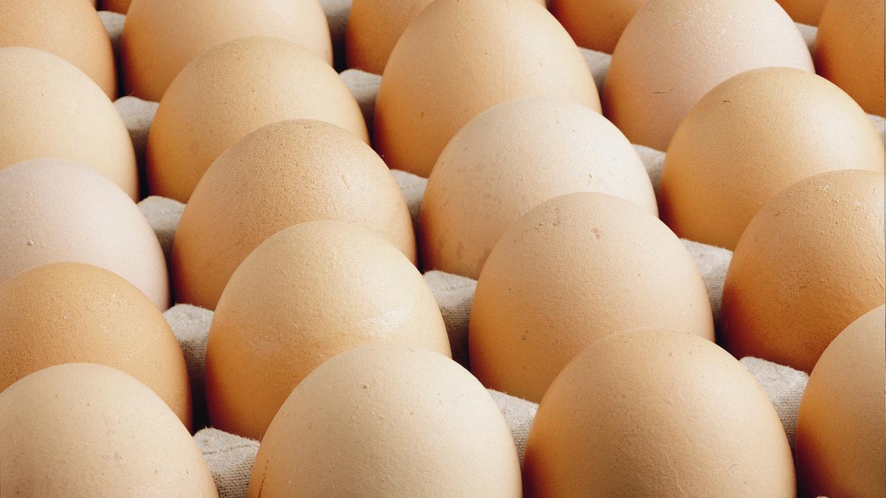 BİM Yumurta Fiyatları