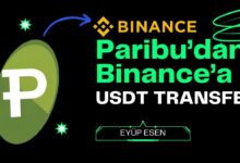 Binance'den Paribu'ya USDT Gönderme