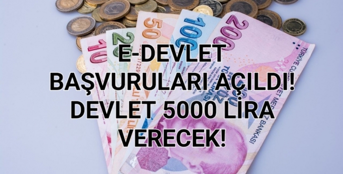 E-Devlet 20.000 TL Yardım Parası Başvurusu