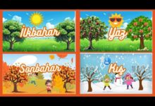 İlkbahar Yaz Sonbahar Kış Mevsim Ayları