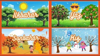 İlkbahar Yaz Sonbahar Kış Mevsim Ayları
