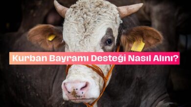 Kurban Bayramı Yardım Başvurusu