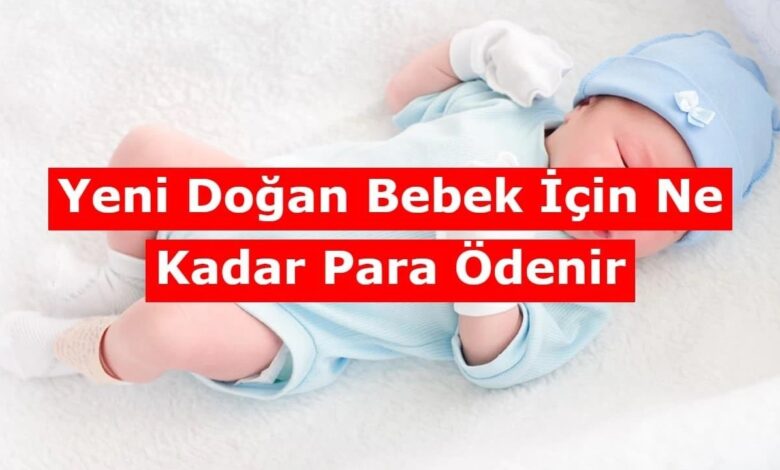 Yeni Doğan Bebek Parası Ne Kadar