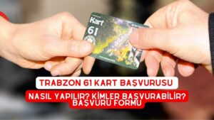 Kart 61 Başvurusu, Başvuru Formu ve Bakiye Sorgulama