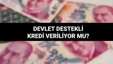 Devlet Destekli Kredi Veren Bankalar