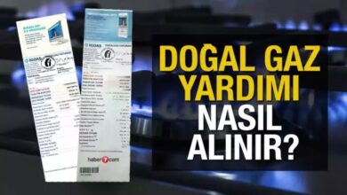 Doğalgaz Yardımı Başvurusu Kabul Edildi Ne Yapmalıyım