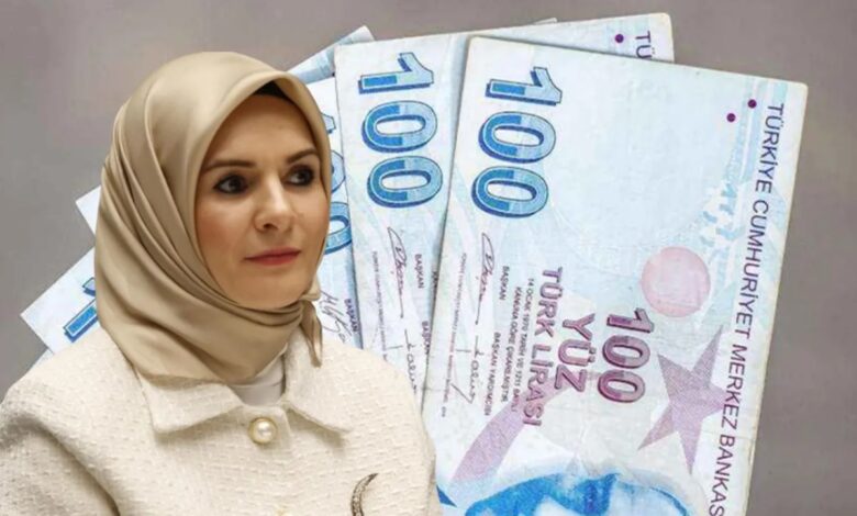 SED Yardımı Nedir