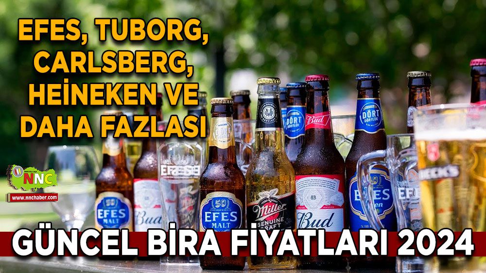 Bira Fiyatları Güncel (Efes – Tuborg) Migros ve Market Fiyatları