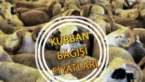 Kurban Bağışı Fiyatları ve Bedeli (Güncel Fiyat Listesi)